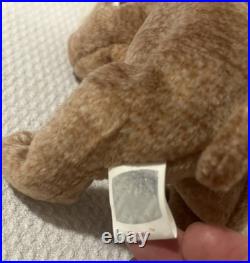 Rare Ty Beanie Baby 1999 Pecan The Bear Retired With Shiny Tush Tag
