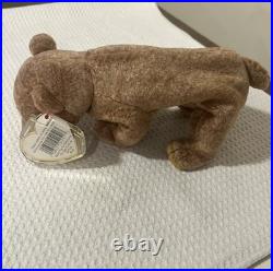Rare Ty Beanie Baby 1999 Pecan The Bear Retired With Shiny Tush Tag