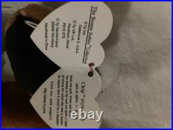 Rare Ty Chip Beanie Baby Retired 1996 Tag Babies Original Tag Errors Rare Ty Chip Beanie Baby Retired 1996 Tag Babies Original Tag Errors