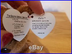 Rare Ty Curly Beanie Baby with MANY Errors! Excellent Condition