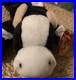 Rare-Ty-Daisy-Cow-Beanie-Baby-PVC-Pellets-Tag-Errors-Hyphenated-Birthday-01-ged