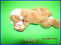 Rare Ty Retired Beanie Baby Wrinkles 1996 Nwt Tag Errors