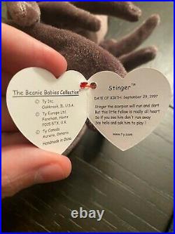 With Tag Error Details about   Rare And Retired TY BEANIE  BABIES Stinger 