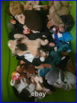 Rare beanie babies for sale