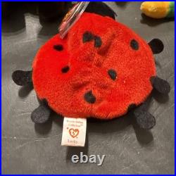 Rare beanie babies with tag errors, Lucky, Smoochy, Roam, Sticky, Scorch, Ants