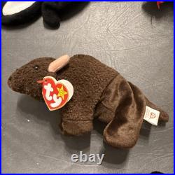 Rare beanie babies with tag errors, Lucky, Smoochy, Roam, Sticky, Scorch, Ants
