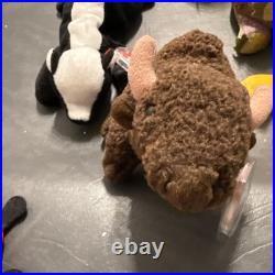Rare beanie babies with tag errors, Lucky, Smoochy, Roam, Sticky, Scorch, Ants