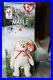 Rare-unopened-Ty-Maple-the-Bear-Beanie-Babies-McDonalds-with-Errors-01-godp