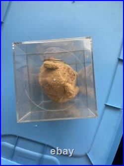 Retired 1993 Ty Beanie Babies Rare Original Curly The Bear With Pe Pellets