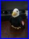 Retired-1996-Ty-Beanie-Baby-Babies-Baldy-The-Eagle-RARE-01-btcj