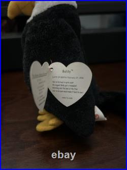 Retired 1996 Ty Beanie Baby Babies Baldy The Eagle RARE