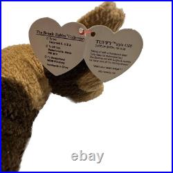 Retired 1996 Ty Beanie Baby TUFFY THE DOG With Rare Multiple Tag Errors Retired 1996 Ty Beanie Baby TUFFY THE DOG With Rare Multiple Tag Errors