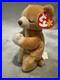 Retired-1998-Ty-Beanie-Baby-Hope-the-Praying-Bear-with-Rare-Tag-Errors-01-jzv