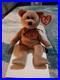 Retired-Beanie-Babies-Signature-Bear-1999-Rare-With-Multiple-ERRORS-01-gg