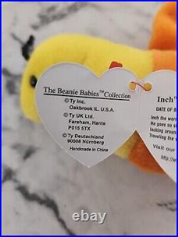 Retired Rare 1995 TY Beanie Baby Inch worm With ERRORS