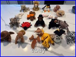 Retired Rare Beanie Babies