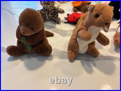 Retired Rare Beanie Babies