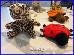 Retired Rare Beanie Babies