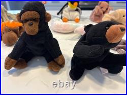 Retired Rare Beanie Babies