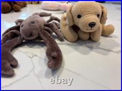 Retired Rare Beanie Babies