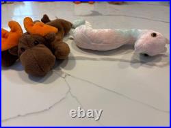 Retired Rare Beanie Babies