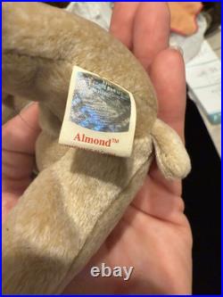 Retired TY Beanie Baby Almond 1999 Rare Tag Errors