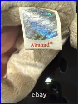 Retired TY Beanie Baby Almond 1999 Rare Tag Errors