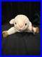 Retired-Ty-Beanie-Baby-Ewey-The-Lamb-MINT-Tags-1998-RARE-Tag-Errors-01-sz