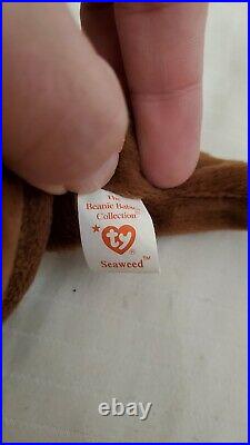 Retired Ty Beanie Baby Seaweed the Otter RARE TAG ERRORS! Mint Condition