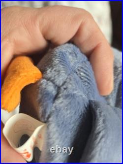 Scoop The Pelican TY BEANIE BABY Tag Errors Rare RETIRED 1996