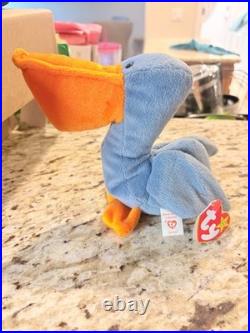 Scoop the Pelican Beanie Baby With ERRORS VERY RARE Retired TY 1996
