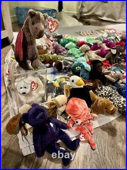 Stuffed Animal Lot / Ty / Beanie Babies / 250+ / Rare / Vintage / Classic! 