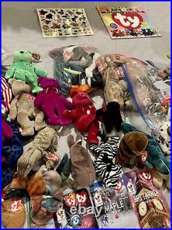 Stuffed Animal Lot / Ty / Beanie Babies / 250+ / Rare / Vintage / Classic! 