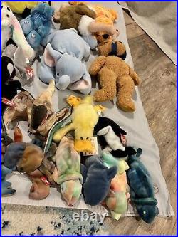 Stuffed Animal Lot / Ty / Beanie Babies / 250+ / Rare / Vintage / Classic! 