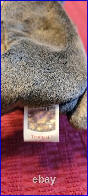 Super rare TY beanie baby Trumpet with tag errors Super rare TY beanie baby Trumpet with tag errors