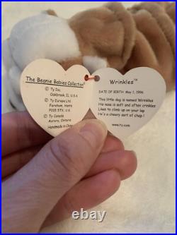 TY 1996 Wrinkles Beanie Baby Very Rare Retired with Error in Poem and Tush Tag