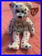 TY-2k-beanie-baby-Mint-Condition-Rare-with-Errors-01-hh
