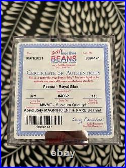 TY Authenticated Peanut Royal Blue MWMT-MQ Pristine and Rare Beanie