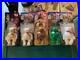 TY-BEANIE-BABIES-MCDONALDS-INTERNATIONAL-BEARS-SET-OF-4-NIB-errors-VERY-RARE-01-ho