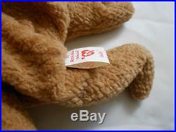 Ty Beanie Baby Curly Bear Retired With Tag Errors Rare