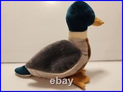 TY Beanie Babies 1997/98 Jake the Duck. Retired/Rare/Errors/Stamp Tag #453