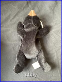TY Beanie Babies Blackie the Bear RARE! With Errors