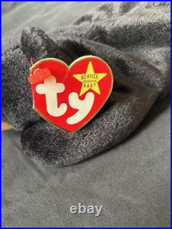 TY Beanie Babies Blackie the Bear RARE! With Errors