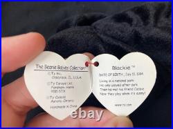 TY Beanie Babies Blackie the Bear RARE! With Errors
