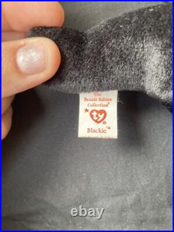 TY Beanie Babies Blackie the Bear RARE! With Errors