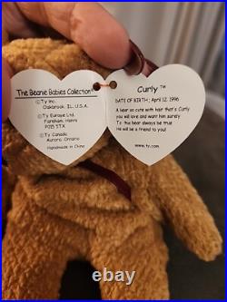 TY Beanie Babies Curly The Bear. VERY RARE with Many Errors. Mint Condition