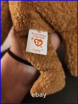 TY Beanie Babies Curly The Bear. VERY RARE with Many Errors. Mint Condition
