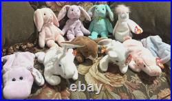 TY Beanie Babies Easter Pastel Animal Collection Rare Spring Colors, Tagged G