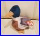 TY-Beanie-Babies-Jake-the-Duck-Retired-Rare-Errors-Stamp-Tag-402-1997-1998-01-nau