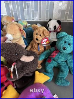 TY Beanie Babies LOT Many Rare Older Errors